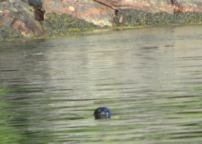 Two-bedroom Holiday In Utvik 1 * Solberg (Sogn og Fjordane)